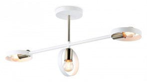 {{productViewItem.photos[photoViewList.activeNavIndex].Alt || productViewItem.photos[photoViewList.activeNavIndex].Description || 'Люстра на штанге Ambrella Light TR TR8228'}}