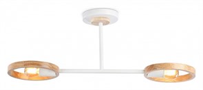 {{productViewItem.photos[photoViewList.activeNavIndex].Alt || productViewItem.photos[photoViewList.activeNavIndex].Description || 'Светильник на штанге Ambrella Light TR TR8243'}}