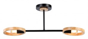 {{productViewItem.photos[photoViewList.activeNavIndex].Alt || productViewItem.photos[photoViewList.activeNavIndex].Description || 'Светильник на штанге Ambrella Light TR TR8244'}}