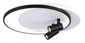 {{productViewItem.photos[photoViewList.activeNavIndex].Alt || productViewItem.photos[photoViewList.activeNavIndex].Description || 'Накладной светильник Ambrella Light FL FL51392'}}