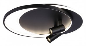 {{productViewItem.photos[photoViewList.activeNavIndex].Alt || productViewItem.photos[photoViewList.activeNavIndex].Description || 'Накладной светильник Ambrella Light FL FL51393'}}