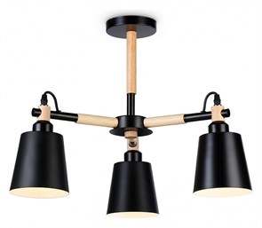 {{productViewItem.photos[photoViewList.activeNavIndex].Alt || productViewItem.photos[photoViewList.activeNavIndex].Description || 'Люстра на штанге Ambrella Light TR TR82206'}}