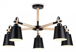 {{productViewItem.photos[photoViewList.activeNavIndex].Alt || productViewItem.photos[photoViewList.activeNavIndex].Description || 'Люстра на штанге Ambrella Light TR TR82211'}}