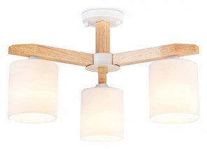 {{productViewItem.photos[photoViewList.activeNavIndex].Alt || productViewItem.photos[photoViewList.activeNavIndex].Description || 'Люстра на штанге Ambrella Light TR TR83112'}}