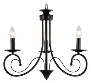 {{productViewItem.photos[photoViewList.activeNavIndex].Alt || productViewItem.photos[photoViewList.activeNavIndex].Description || 'Подвесная люстра Ambrella Light TR TR9606'}}