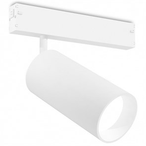{{productViewItem.photos[photoViewList.activeNavIndex].Alt || productViewItem.photos[photoViewList.activeNavIndex].Description || 'Светильник на штанге Ambrella Light GL GL1231'}}