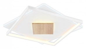 {{productViewItem.photos[photoViewList.activeNavIndex].Alt || productViewItem.photos[photoViewList.activeNavIndex].Description || 'Накладной светильник Ambrella Light FL FL4790'}}