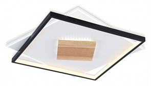 {{productViewItem.photos[photoViewList.activeNavIndex].Alt || productViewItem.photos[photoViewList.activeNavIndex].Description || 'Накладной светильник Ambrella Light FL FL4791'}}