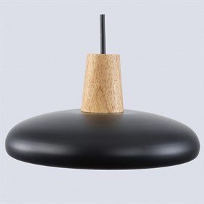 {{productViewItem.photos[photoViewList.activeNavIndex].Alt || productViewItem.photos[photoViewList.activeNavIndex].Description || 'Подвесной светильник Ambrella Light FL FL4839'}}