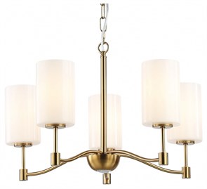 {{productViewItem.photos[photoViewList.activeNavIndex].Alt || productViewItem.photos[photoViewList.activeNavIndex].Description || 'Подвесная люстра Ambrella Light LH LH56051'}}