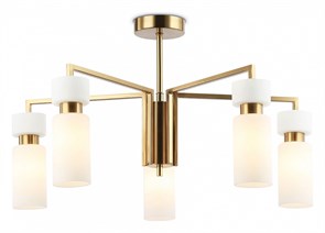 {{productViewItem.photos[photoViewList.activeNavIndex].Alt || productViewItem.photos[photoViewList.activeNavIndex].Description || 'Люстра на штанге Ambrella Light LH LH56124'}}