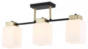 {{productViewItem.photos[photoViewList.activeNavIndex].Alt || productViewItem.photos[photoViewList.activeNavIndex].Description || 'Люстра на штанге Ambrella Light TR TR303046'}}