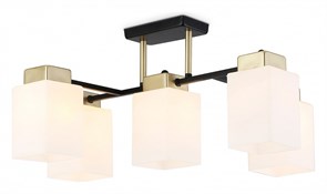 {{productViewItem.photos[photoViewList.activeNavIndex].Alt || productViewItem.photos[photoViewList.activeNavIndex].Description || 'Люстра на штанге Ambrella Light TR TR303048'}}