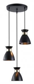 {{productViewItem.photos[photoViewList.activeNavIndex].Alt || productViewItem.photos[photoViewList.activeNavIndex].Description || 'Подвесной светильник Ambrella Light TR TR8470'}}