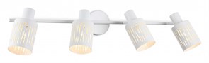 {{productViewItem.photos[photoViewList.activeNavIndex].Alt || productViewItem.photos[photoViewList.activeNavIndex].Description || 'Спот Ambrella Light TR TR8666'}}