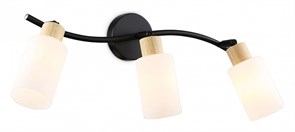 {{productViewItem.photos[photoViewList.activeNavIndex].Alt || productViewItem.photos[photoViewList.activeNavIndex].Description || 'Спот Ambrella Light TR TR8722'}}