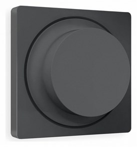 {{productViewItem.photos[photoViewList.activeNavIndex].Alt || productViewItem.photos[photoViewList.activeNavIndex].Description || 'Накладка для диммера Ambrella Volt Quant AP9055'}}
