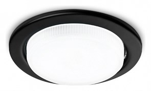 {{productViewItem.photos[photoViewList.activeNavIndex].Alt || productViewItem.photos[photoViewList.activeNavIndex].Description || 'Встраиваемый светильник Ambrella Light STANDARD SPOT G101 BK'}}