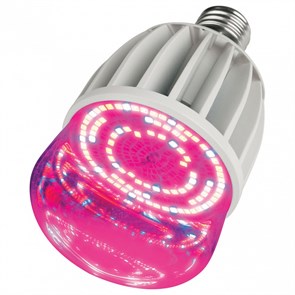 {{productViewItem.photos[photoViewList.activeNavIndex].Alt || productViewItem.photos[photoViewList.activeNavIndex].Description || 'Лампа светодиодная Uniel LED-M80 E27 20Вт K 11098'}}