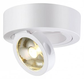 {{productViewItem.photos[photoViewList.activeNavIndex].Alt || productViewItem.photos[photoViewList.activeNavIndex].Description || 'Накладной светильник Novotech Razzo 357704'}}