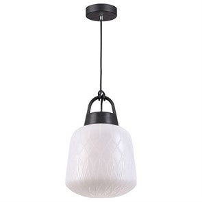 {{productViewItem.photos[photoViewList.activeNavIndex].Alt || productViewItem.photos[photoViewList.activeNavIndex].Description || 'Подвесной светильник Novotech Conte 370601'}}