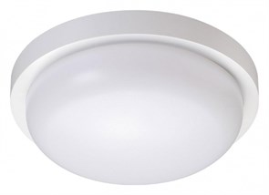 {{productViewItem.photos[photoViewList.activeNavIndex].Alt || productViewItem.photos[photoViewList.activeNavIndex].Description || 'Накладной светильник Novotech Opal 358016'}}