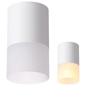 {{productViewItem.photos[photoViewList.activeNavIndex].Alt || productViewItem.photos[photoViewList.activeNavIndex].Description || 'Накладной светильник Novotech Elina 370677'}}