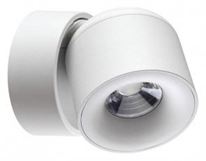 {{productViewItem.photos[photoViewList.activeNavIndex].Alt || productViewItem.photos[photoViewList.activeNavIndex].Description || 'Накладной светильник Novotech Gesso 358808'}}