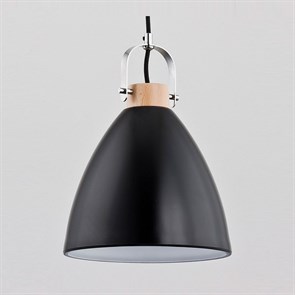 {{productViewItem.photos[photoViewList.activeNavIndex].Alt || productViewItem.photos[photoViewList.activeNavIndex].Description || 'Подвесной светильник Alfa Hermina Czarna 9643'}}
