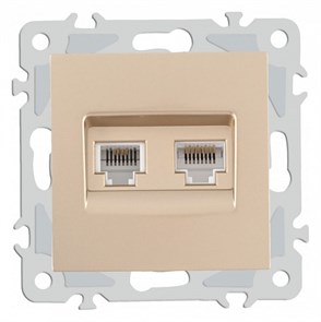{{productViewItem.photos[photoViewList.activeNavIndex].Alt || productViewItem.photos[photoViewList.activeNavIndex].Description || 'Розетка двойная RJ-11 и Ethernet RJ-45, без рамки Arte Milano am-206 206.44-1.shampan'}}