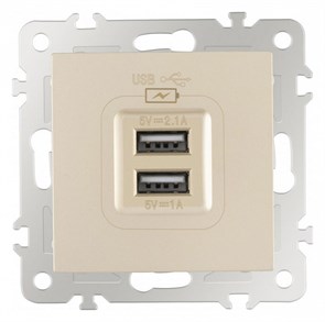 {{productViewItem.photos[photoViewList.activeNavIndex].Alt || productViewItem.photos[photoViewList.activeNavIndex].Description || 'Розетка USB, без рамки Arte Milano am-206 206.46-1.shampan'}}
