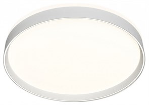 {{productViewItem.photos[photoViewList.activeNavIndex].Alt || productViewItem.photos[photoViewList.activeNavIndex].Description || 'Накладной светильник Denkirs PLATO DK6510-WH'}}