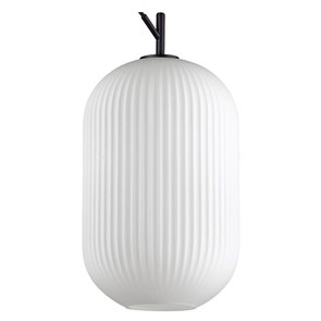 {{productViewItem.photos[photoViewList.activeNavIndex].Alt || productViewItem.photos[photoViewList.activeNavIndex].Description || 'Подвесной светильник Odeon Light Roofi 4752/1'}}