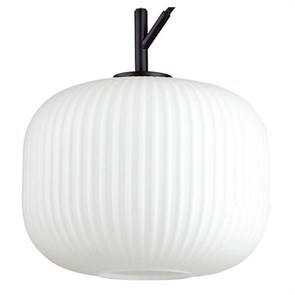 {{productViewItem.photos[photoViewList.activeNavIndex].Alt || productViewItem.photos[photoViewList.activeNavIndex].Description || 'Подвесной светильник Odeon Light Roofi 4753/1'}}