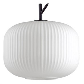 {{productViewItem.photos[photoViewList.activeNavIndex].Alt || productViewItem.photos[photoViewList.activeNavIndex].Description || 'Подвесной светильник Odeon Light Roofi 4754/1'}}