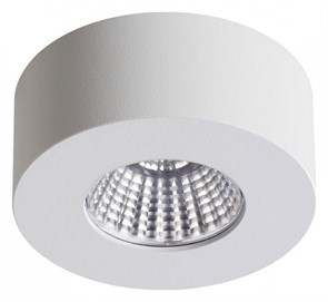 {{productViewItem.photos[photoViewList.activeNavIndex].Alt || productViewItem.photos[photoViewList.activeNavIndex].Description || 'Накладной светильник Odeon Light Bene 4282/7CL'}}