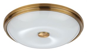 {{productViewItem.photos[photoViewList.activeNavIndex].Alt || productViewItem.photos[photoViewList.activeNavIndex].Description || 'Накладной светильник Odeon Light Pelow 4956/4'}}