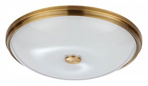 {{productViewItem.photos[photoViewList.activeNavIndex].Alt || productViewItem.photos[photoViewList.activeNavIndex].Description || 'Накладной светильник Odeon Light Pelow 4956/5'}}