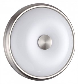 {{productViewItem.photos[photoViewList.activeNavIndex].Alt || productViewItem.photos[photoViewList.activeNavIndex].Description || 'Накладной светильник Odeon Light Pelow 4957/2'}}
