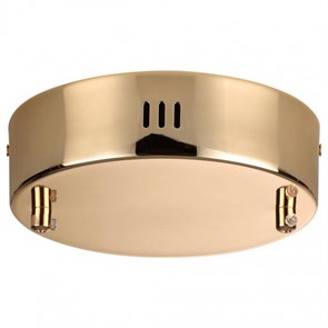 {{productViewItem.photos[photoViewList.activeNavIndex].Alt || productViewItem.photos[photoViewList.activeNavIndex].Description || 'Основание Odeon Light Vekia 5015/2R'}}