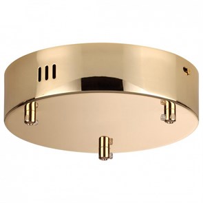 {{productViewItem.photos[photoViewList.activeNavIndex].Alt || productViewItem.photos[photoViewList.activeNavIndex].Description || 'Основание Odeon Light Vekia 5015/3R'}}