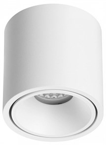 {{productViewItem.photos[photoViewList.activeNavIndex].Alt || productViewItem.photos[photoViewList.activeNavIndex].Description || 'Накладной светильник Odeon Light Redo 6620/10CL'}}