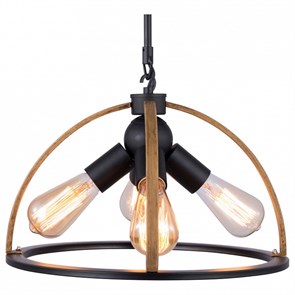 {{productViewItem.photos[photoViewList.activeNavIndex].Alt || productViewItem.photos[photoViewList.activeNavIndex].Description || 'Подвесной светильник TopLight Jasmin TL1179H-04BK'}}