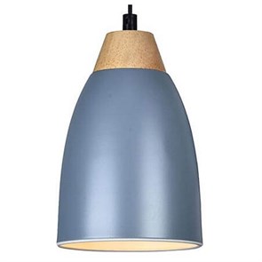 {{productViewItem.photos[photoViewList.activeNavIndex].Alt || productViewItem.photos[photoViewList.activeNavIndex].Description || 'Подвесной светильник TopLight Leah TL0724H-2N'}}