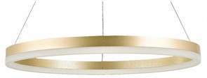 {{productViewItem.photos[photoViewList.activeNavIndex].Alt || productViewItem.photos[photoViewList.activeNavIndex].Description || 'Подвесной светильник Natali Kovaltseva Oreol LED LAMPS 81296'}}