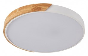 {{productViewItem.photos[photoViewList.activeNavIndex].Alt || productViewItem.photos[photoViewList.activeNavIndex].Description || 'Накладной светильник Natali Kovaltseva Scandinavian LED LAMPS 81182'}}