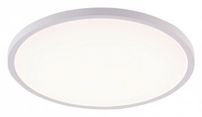 {{productViewItem.photos[photoViewList.activeNavIndex].Alt || productViewItem.photos[photoViewList.activeNavIndex].Description || 'Накладной светильник Natali Kovaltseva PLAIN LED LAMPS 81113/5C'}}