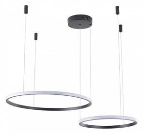 {{productViewItem.photos[photoViewList.activeNavIndex].Alt || productViewItem.photos[photoViewList.activeNavIndex].Description || 'Подвесной светильник Zortes Ringolight ZRS.33321.63F'}}