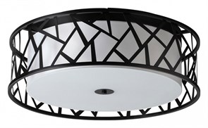 {{productViewItem.photos[photoViewList.activeNavIndex].Alt || productViewItem.photos[photoViewList.activeNavIndex].Description || 'Накладной светильник Sonex Fabiana 7700/60L'}}