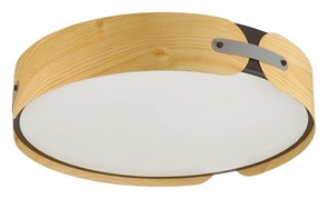 {{productViewItem.photos[photoViewList.activeNavIndex].Alt || productViewItem.photos[photoViewList.activeNavIndex].Description || 'Накладной светильник Sonex Coraggio 7721/65L'}}